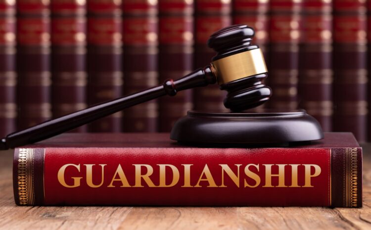  Experienced Guardianship Lawyers Reno NV