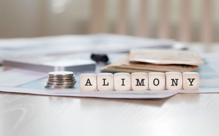  Spousal Support and Alimony in Reno