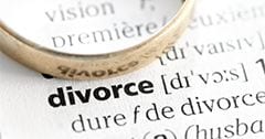  Domestic Partnership v. Marriage