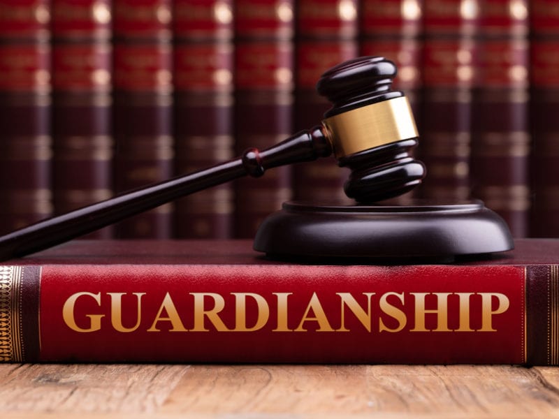 Gavel And Striking Block Over Guardianship Law Book