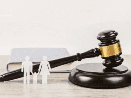 a child custody case