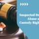Custody Rights
