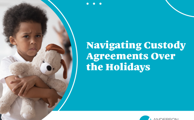  Navigation Custody Agreements Over the Holidays
