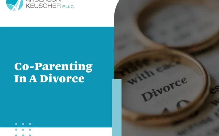  Co-Parenting In A Divorce