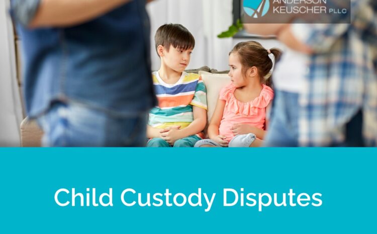  Child Custody Disputes | Family Law Reno