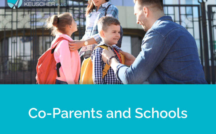  When School Choices Divide Co-Parents